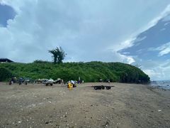 -贝壳沙滩