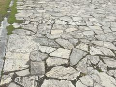 -苏州太湖国家湿地公园