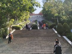 -仙人山公园