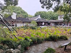-上海醉白池公园