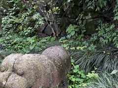 -宁波市保国寺古建筑博物馆