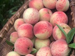 -仙海旅游度假区