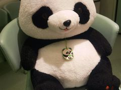 -眉州东坡·熊猫主题餐厅(枫蓝店)