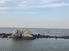 -上海吴淞炮台湾国家湿地公园