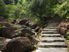 -广州白江湖森林公园