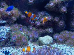 -成都浩海立方海洋公园