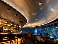 -Hi City·城市之巅