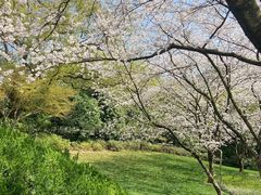 -中国茶叶博物馆(双峰馆区)