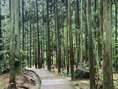 -雁荡山大龙湫景区