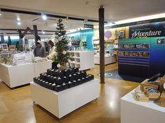 -怀托摩萤火虫洞