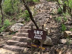 -金龙寺国家森林公园