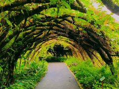 -广西壮族自治区药用植物园
