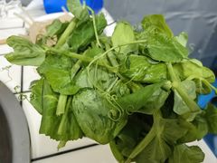 豌豆尖-海关荤豆花(洋河一路店)