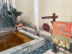 -仁爱团泊湖温泉中心