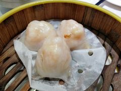 -大来渔村(市桥店)