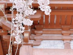 -醍醐寺