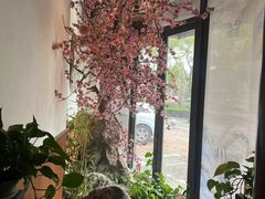 -金指缘足浴(望园路旗舰店)