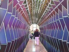 -旧金山现代艺术博物馆