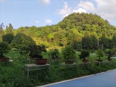 -贵州省植物园