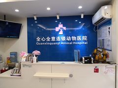 -全心全意连锁动物医院·微创中心·内科急重症·心脏专科(丰管路店)