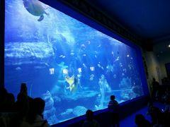 -多彩贵州城极地海洋世界