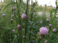 -新达口腔(华东理工大学店)