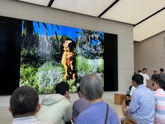 -Apple零售店(苏州店)