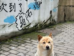 -乌石塘景区