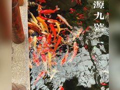 -龙源九号花园酒店(叶埠桥店)