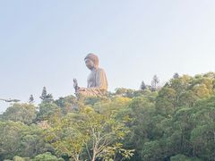 -昂坪360缆车
