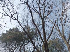 -宝通禅寺