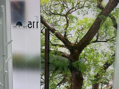 -极简口腔(总院)