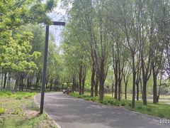 -东郊湿地公园