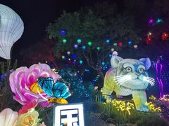 -无锡梅园公园