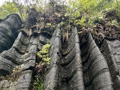 -梭布垭石林景区