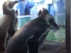 -常州海昌海洋探索馆