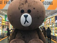 -line friends(明洞旗舰店)
