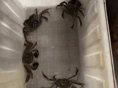 -水岸居湖景农家乐·阳澄湖大闸蟹