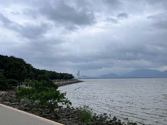 -深圳湾公园(南山区)