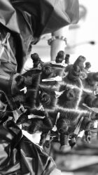 -DH2 hair