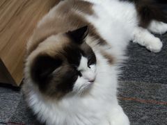 -零纪元VR体验馆·桌游(黄浦店)