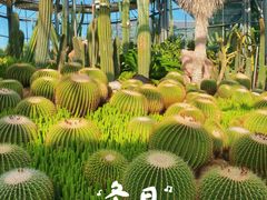 -中国科学院华南植物园
