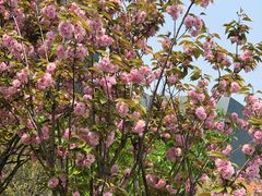 -Bco豆库(星耀天地店)