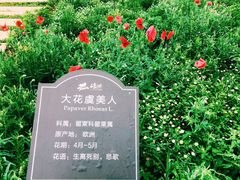 -保利石象湖景区