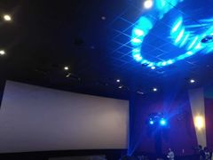 -AMG海上明珠影城(上海环球港RealDCinema店)