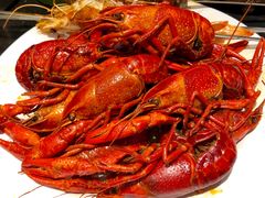 -蓝钻·国际美食海鲜自助百汇(西直门店)