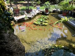 -膳和缘炒鸡店(南门路店)