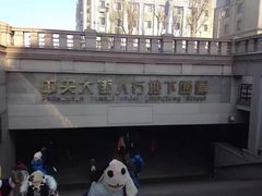 -人民防洪胜利纪念塔