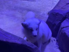 -上海海昌海洋公园-冰山北极馆