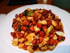 宫保鸡丁-龙梅肥肠鱼(明瓦廊店)
